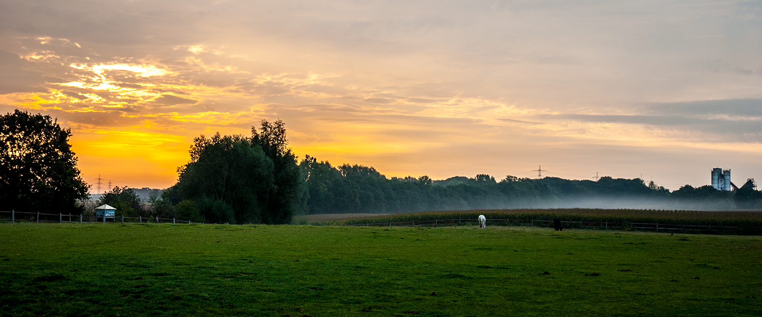 Sonnenaufgang Pulheimer Laache.jpg